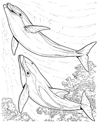 Dolfijnen - Kleurplaat011
