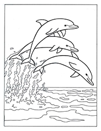 Dolfijnen - Kleurplaat028