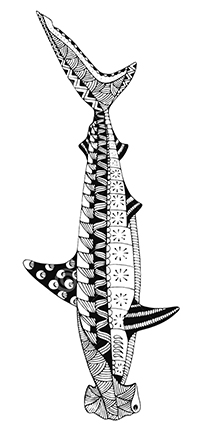 Haaien - Kleurplaat032