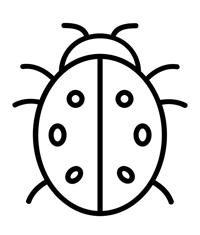 Insecten - Kleurplaat037