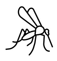 Insecten - Kleurplaat040