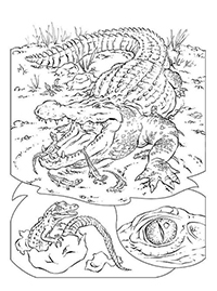 Krokodillen - Kleurplaat019