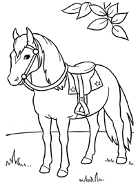 Paardrijden - Kleurplaat017