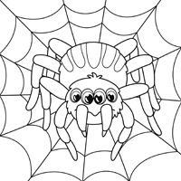 Spinnen - Kleurplaat022