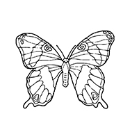 Vlinders - Kleurplaat003