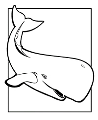Walvissen - Kleurplaat023