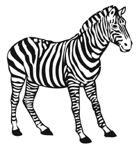 Zebras - Kleurplaat005
