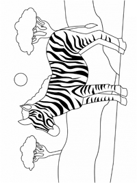 Zebras - Kleurplaat008