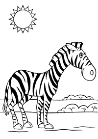 Zebras - Kleurplaat009