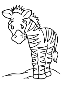 Zebras - Kleurplaat020