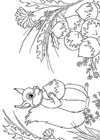 Eekhoorns - Kleurplaat041