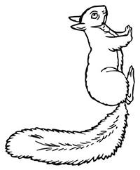 Eekhoorns - Kleurplaat049