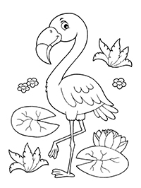 Flamingo - Kleurplaat007