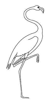 Flamingo - Kleurplaat008