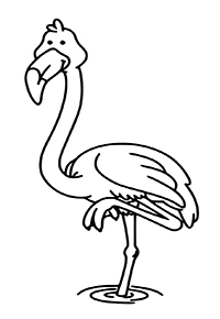 Flamingo - Kleurplaat013