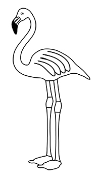 Flamingo - Kleurplaat016
