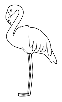 Flamingo - Kleurplaat017