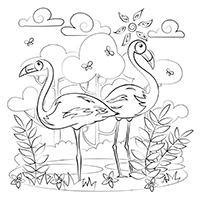 Flamingo - Kleurplaat020
