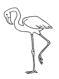 Flamingo - Kleurplaat027