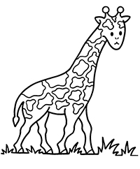 Giraffen - Kleurplaat010