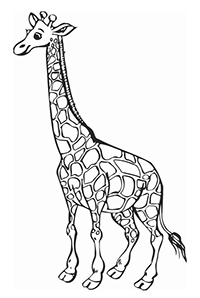 Giraffen - Kleurplaat013