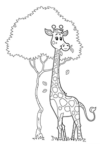 Giraffen - Kleurplaat014