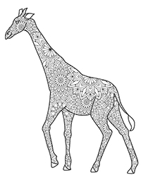 Giraffen - Kleurplaat015
