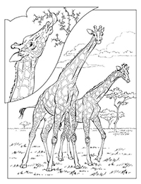 Giraffen - Kleurplaat020