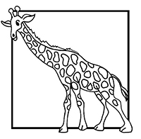 Giraffen - Kleurplaat021