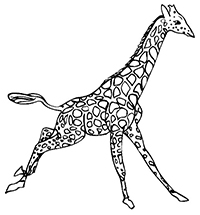 Giraffen - Kleurplaat023