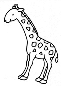 Giraffen - Kleurplaat024