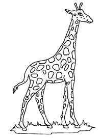Giraffen - Kleurplaat027