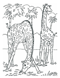 Giraffen - Kleurplaat033