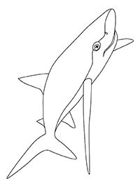 Haaien - Kleurplaat008