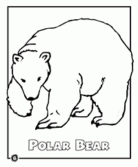 Ijsberen - Kleurplaat005