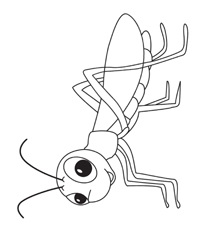 Insecten - Kleurplaat001