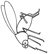 Insecten - Kleurplaat012