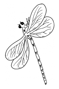 Insecten - Kleurplaat036