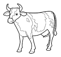 Koeien - Kleurplaat022