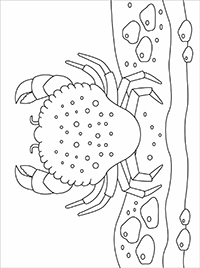 Krabben - Kleurplaat009