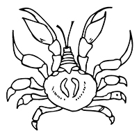 Krabben - Kleurplaat023