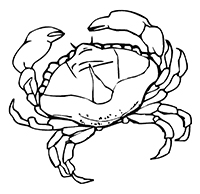 Krabben - Kleurplaat025