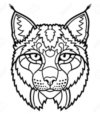Lynxen - Kleurplaat003