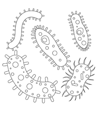 Micro Organismen - Kleurplaat003