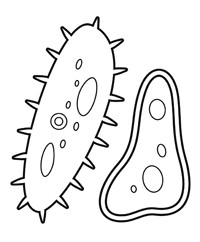 Micro Organismen - Kleurplaat005