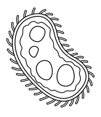 Micro Organismen - Kleurplaat011