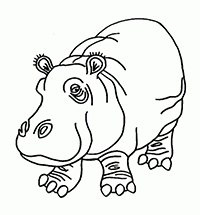 Nijlpaarden - Kleurplaat003