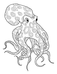 Octopussen - Kleurplaat007