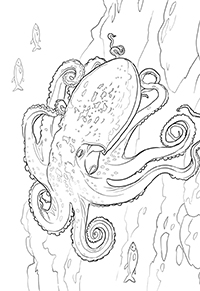 Octopussen - Kleurplaat008