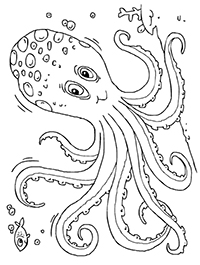 Octopussen - Kleurplaat026